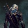 The Witcher